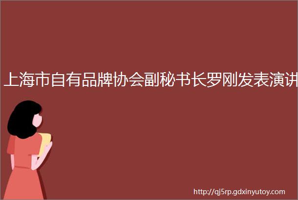 上海市自有品牌协会副秘书长罗刚发表演讲